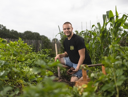 Aardappels in de moestuin